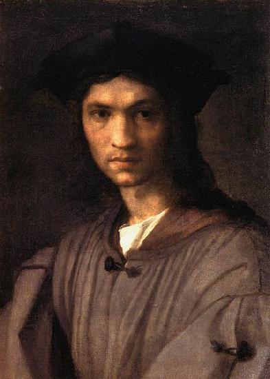 Andrea del Sarto Portrait of Baccio Bandinelli Sweden oil painting art